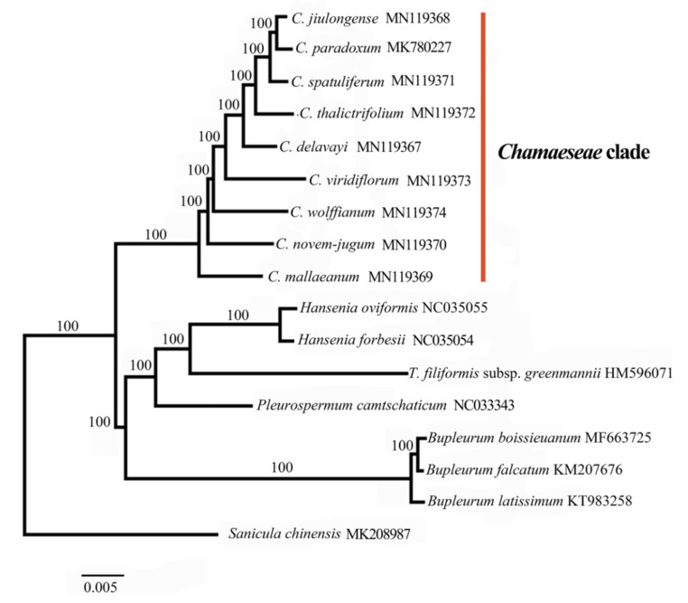 Figure 7