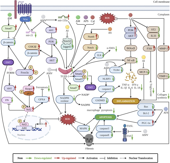 FIGURE 2