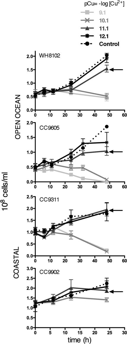 FIG. 2.