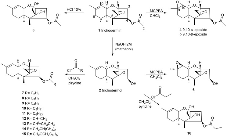 Scheme 1