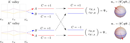 Fig. 1