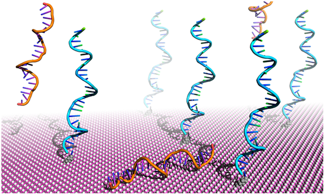 graphic file with name nihms-1718150-f0001.jpg