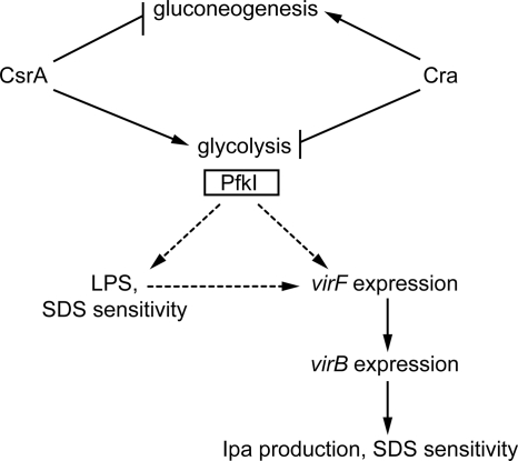 FIG. 7.