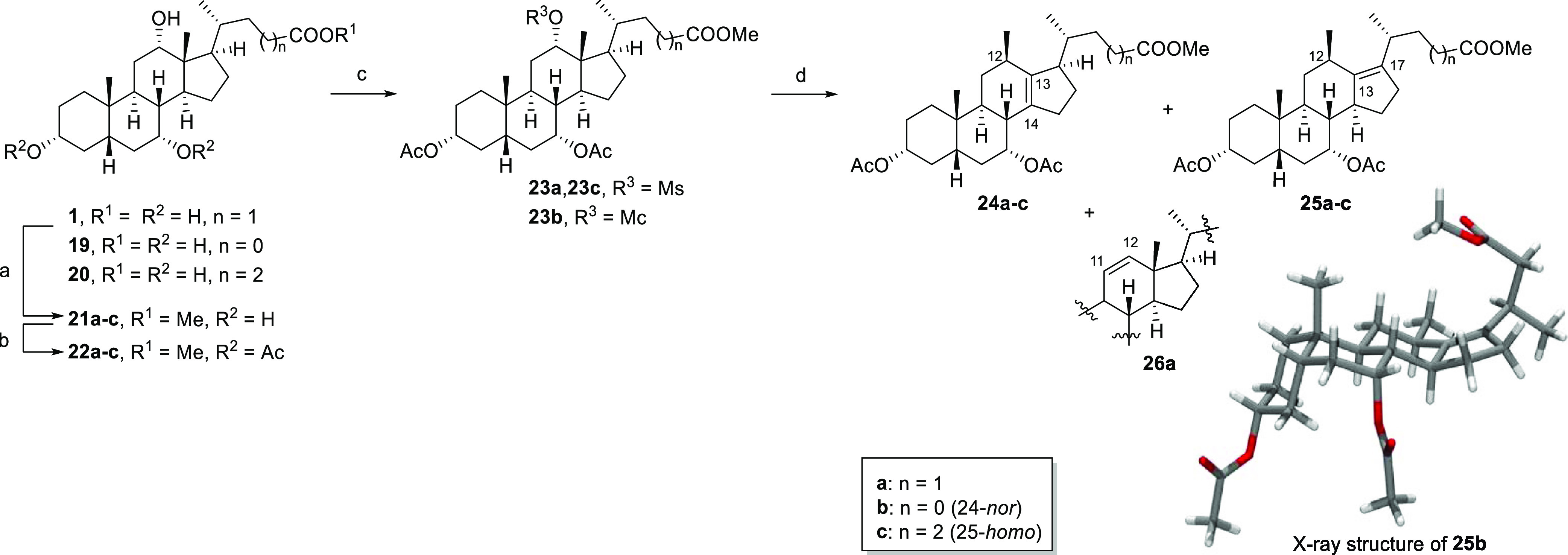 Scheme 2