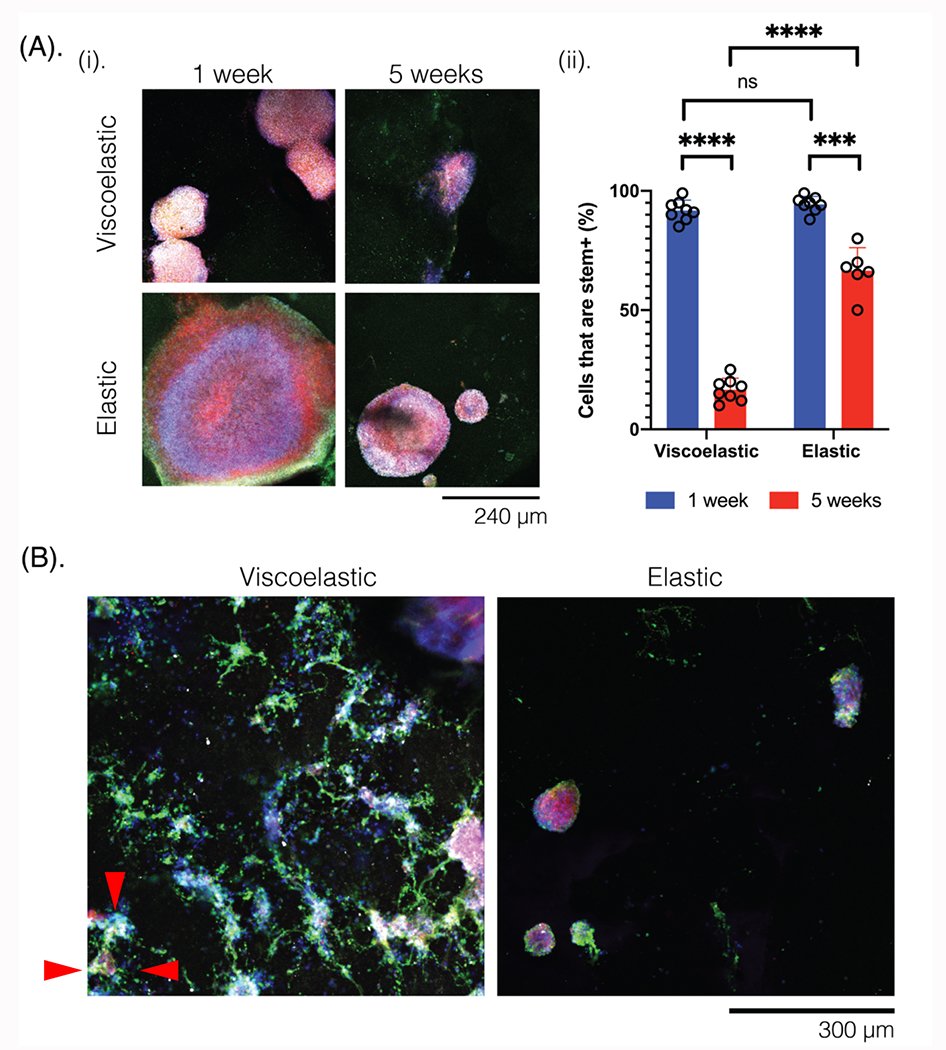 Figure 4: