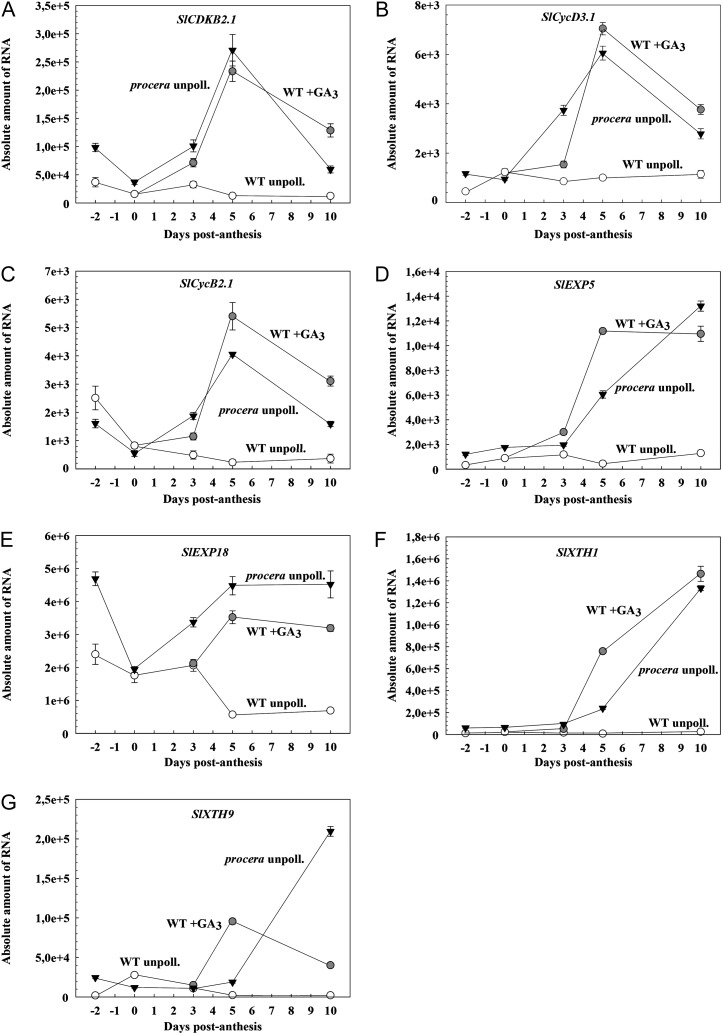 Figure 5.