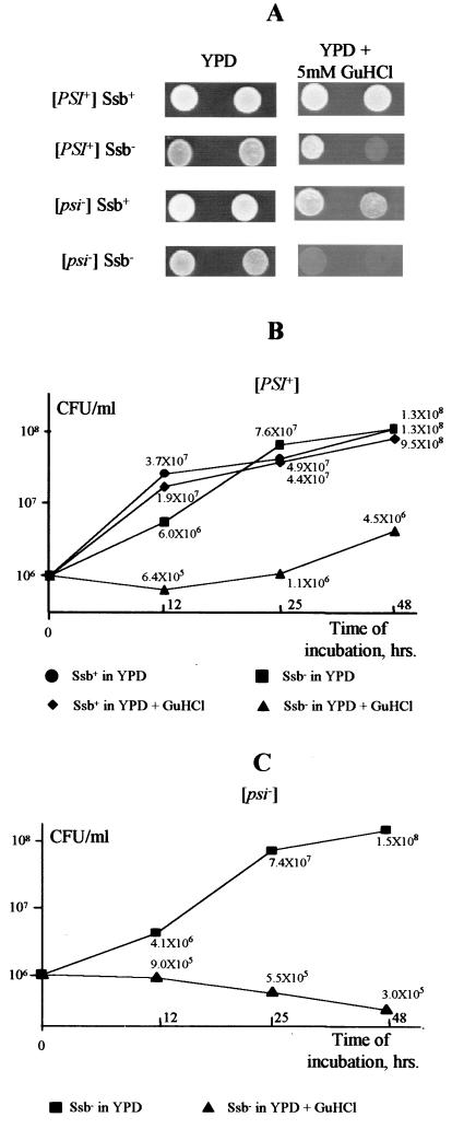 FIG. 5