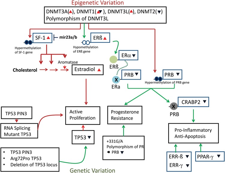 Figure 1