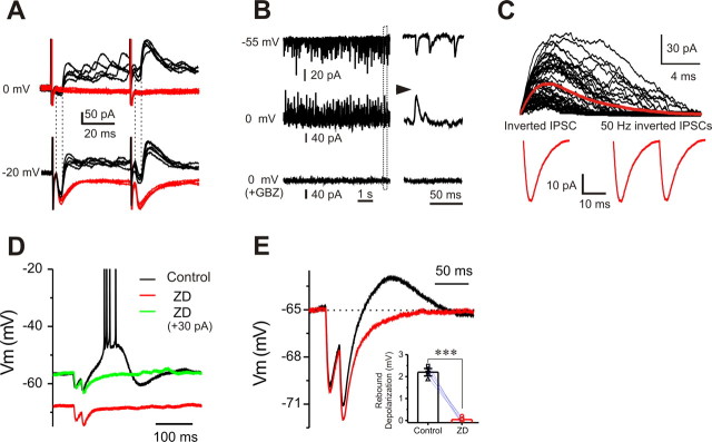 Figure 10.