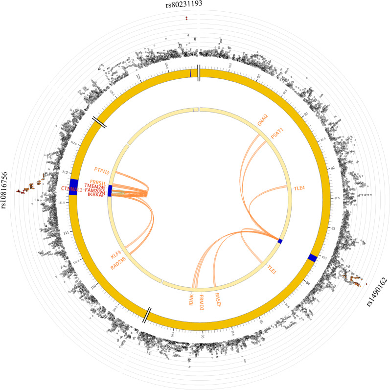 Fig. 3