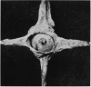 426-2