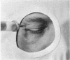 436-2