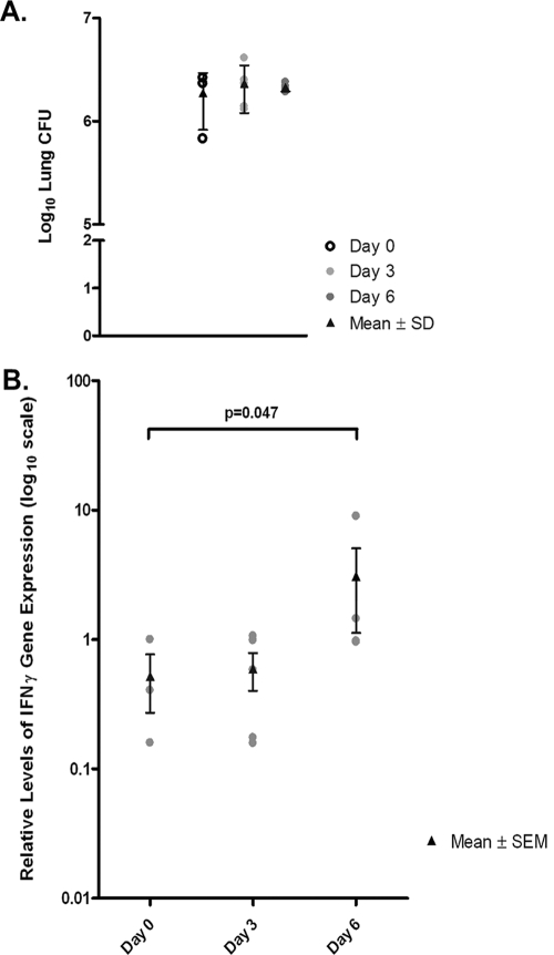 FIG. 7.