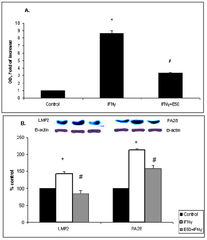 Fig.4