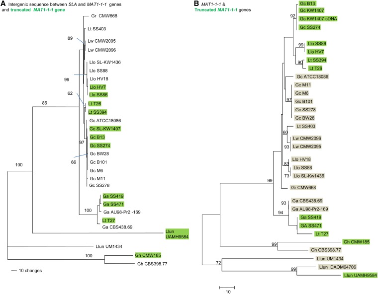 Figure 6 