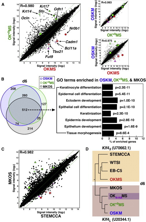 Figure 3