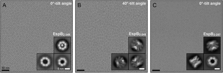 Fig. 4