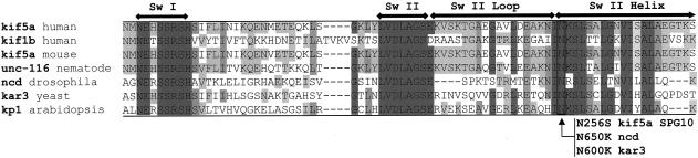 Figure  3