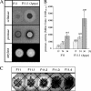 FIG. 3.