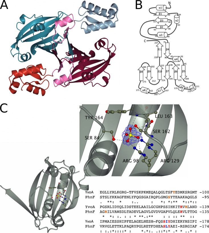 FIG 2