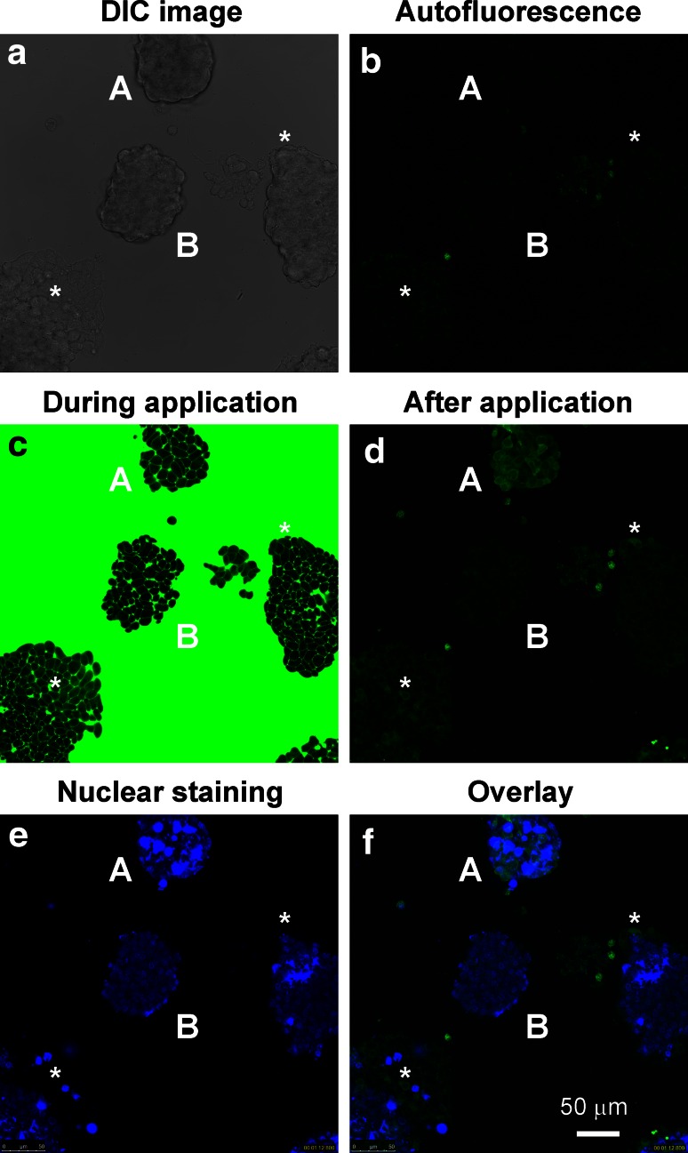 Fig. 2