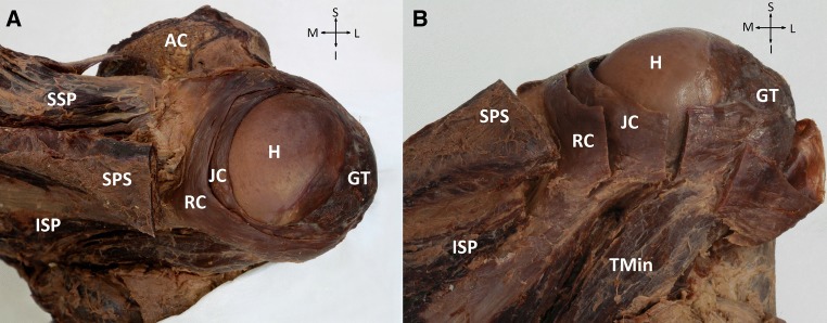 Fig. 3