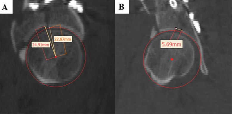 Fig. 3