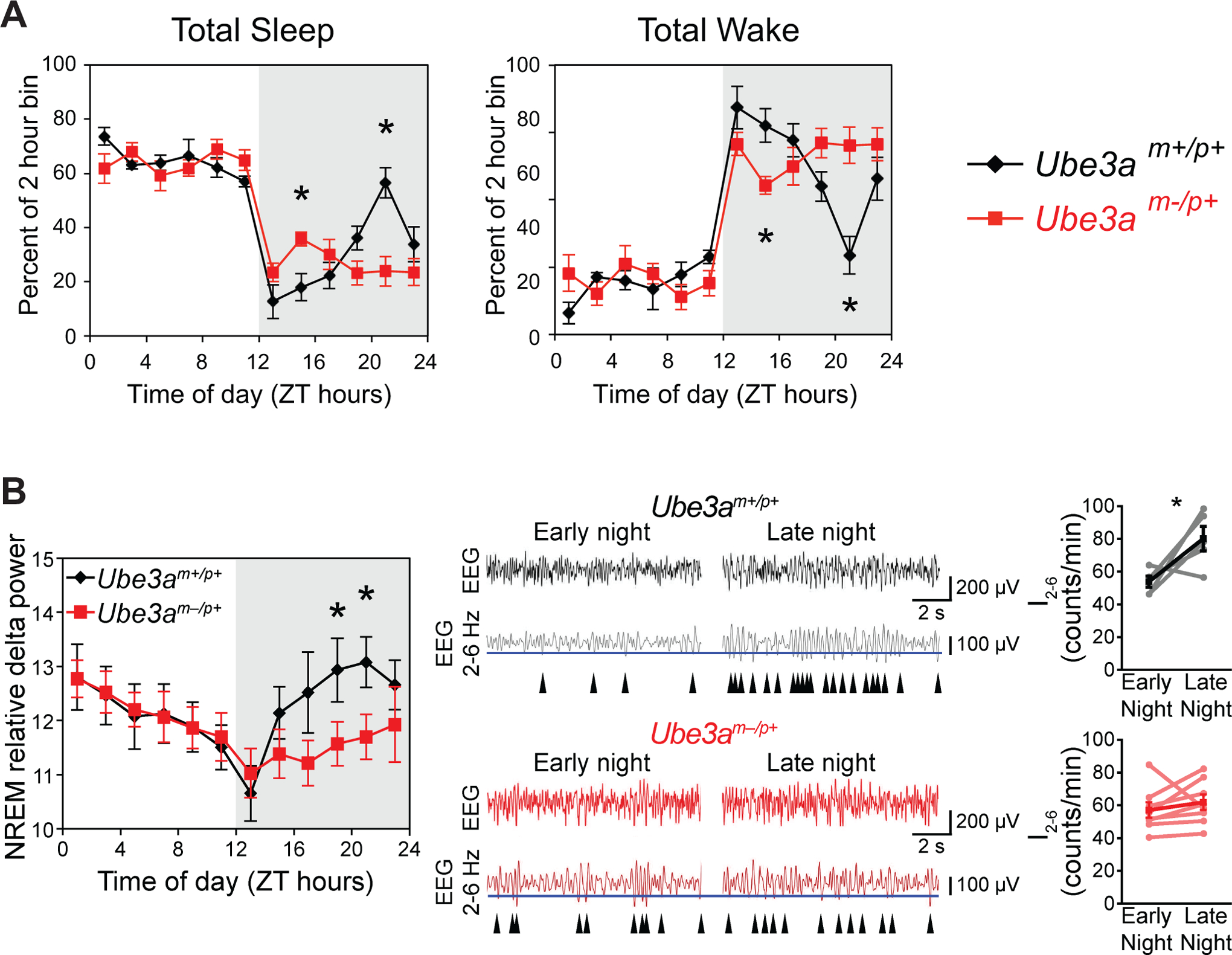 Figure 2: