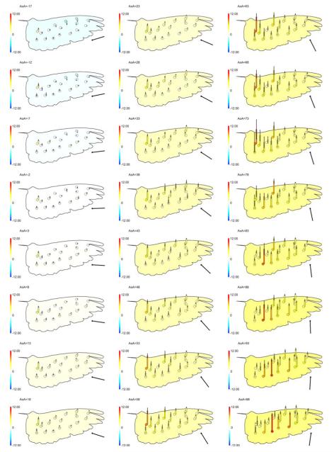 Fig. 4