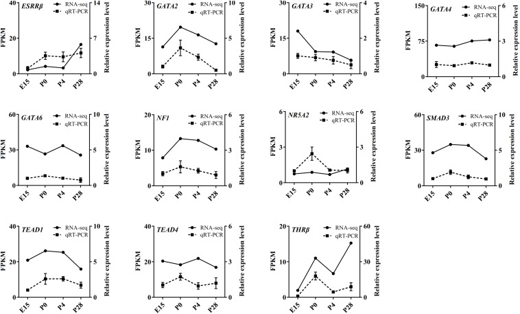 FIGURE 9