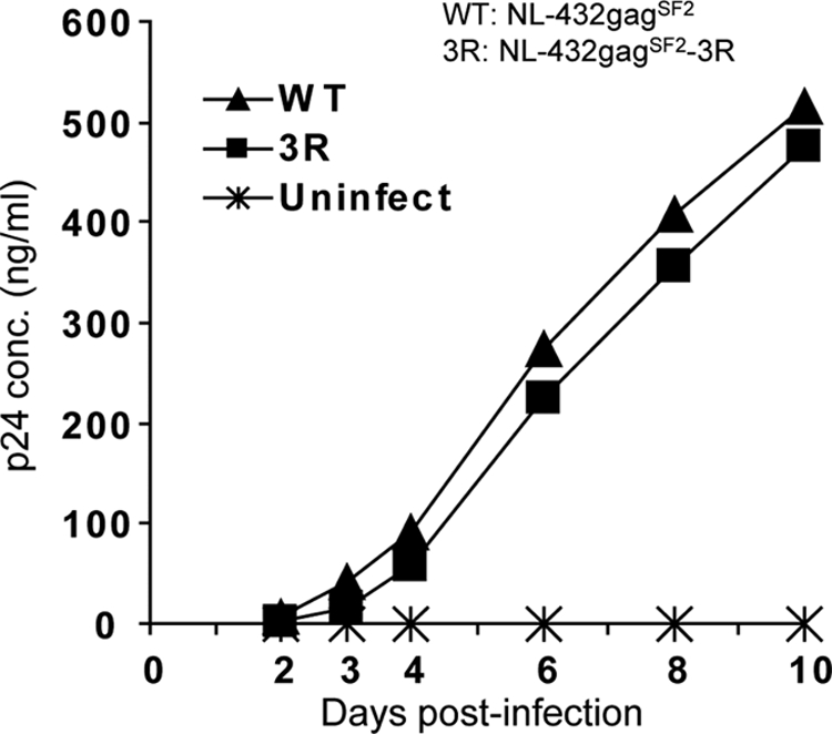 Fig 6