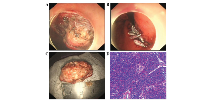 Figure 2.