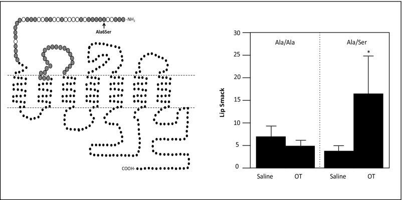 Fig. S2.