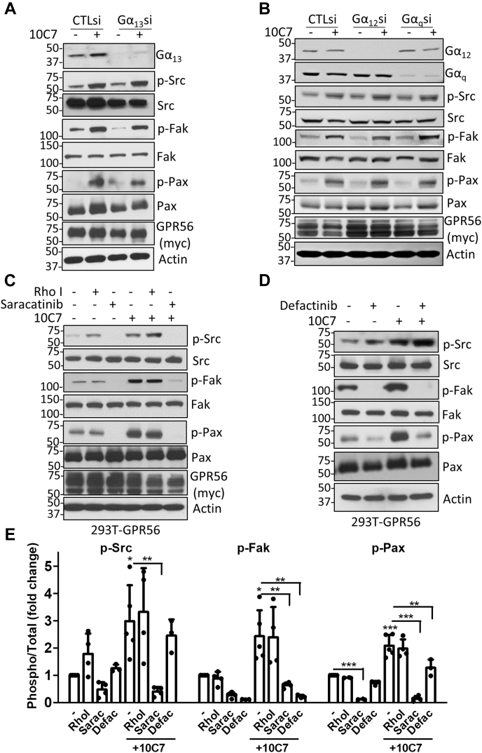 Figure 6