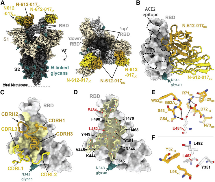 Figure 3