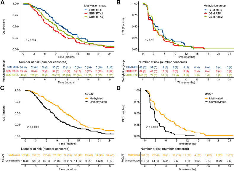 Figure 2. Prognostic effect of the main glioblastoma methylation classes and MGMT promoter methylation status. A, OS of patients with the three main glioblastoma groups (RTK1, RTK2, and MES, n = 295) identified with classifier v12.5. B, PFS of the same patient cohort as in A (n = 295). C, OS according to MGMT promoter methylation (n = 313). Patients with MGMT promoter methylation status of “undeterminable” were excluded from the analysis. D, PFS according to MGMT promoter methylation (n = 313).