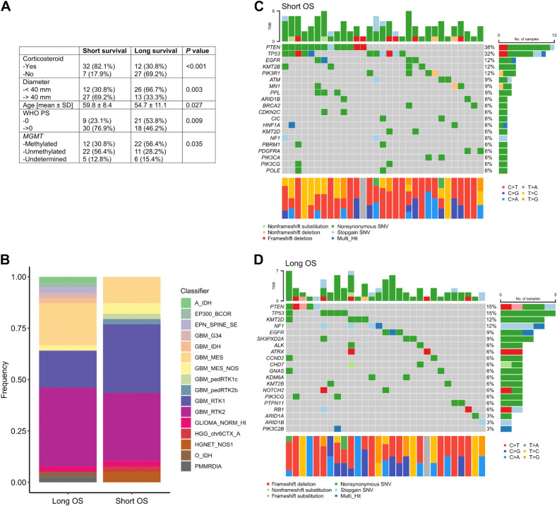 Figure 5. Features of patients with long and short OS. A, Clinical characteristics of patients with the 10% shortest (n = 39) and longest (n = 39) OS. B, Distribution of methylation classification in patients with short (n = 39) and long (n = 39) OS. C, Oncoplot of patients with the 10% shortest OS (n = 39). D, Oncoplot of patients with the 10% longest OS (n = 39).