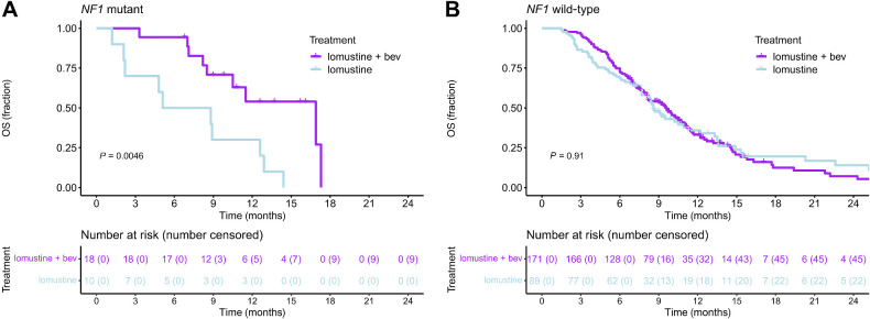 Figure 4. NF1 mutation is a prognostic factor for response to bevacizumab therapy. A, OS of patients with NF1 mutations according to treatment (n = 28). B, OS of patients with NF1 wild-type according to treatment (n = 260). Bev, bevacizumab.