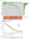 Figure 3. Impact of somatic mutations in the EORTC-26101 cohort. A, Oncoplot with SNVs and indels in the 20 most frequently affected genes in the complete EORTC-26101 biomarker cohort (n = 380). B, OS according to PTEN mutation status (n = 380).