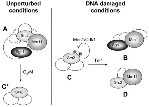 FIG. 7.