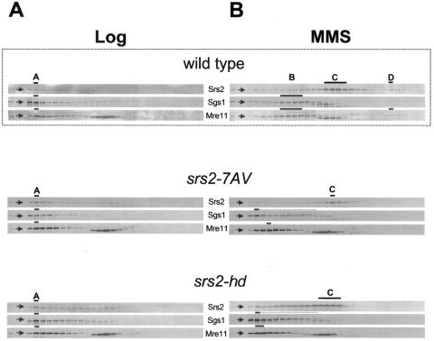 FIG. 6.