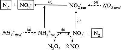 FIG. 5.