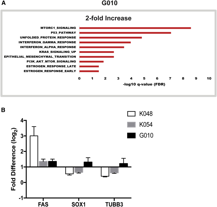 Figure 6