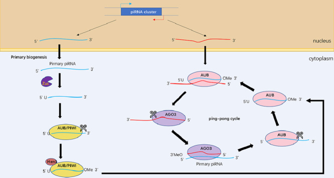 Image, graphical abstract