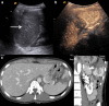 Fig. 2