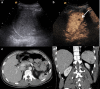 Fig. 8
