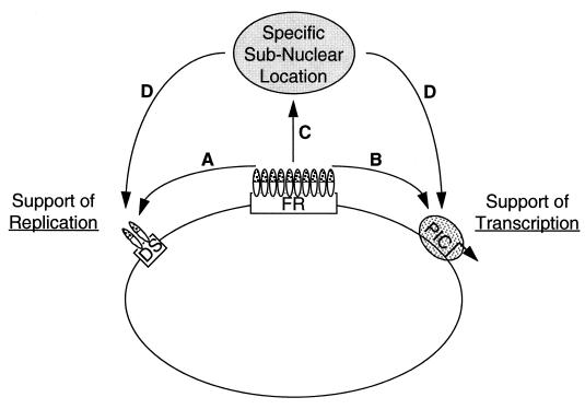 FIG. 6