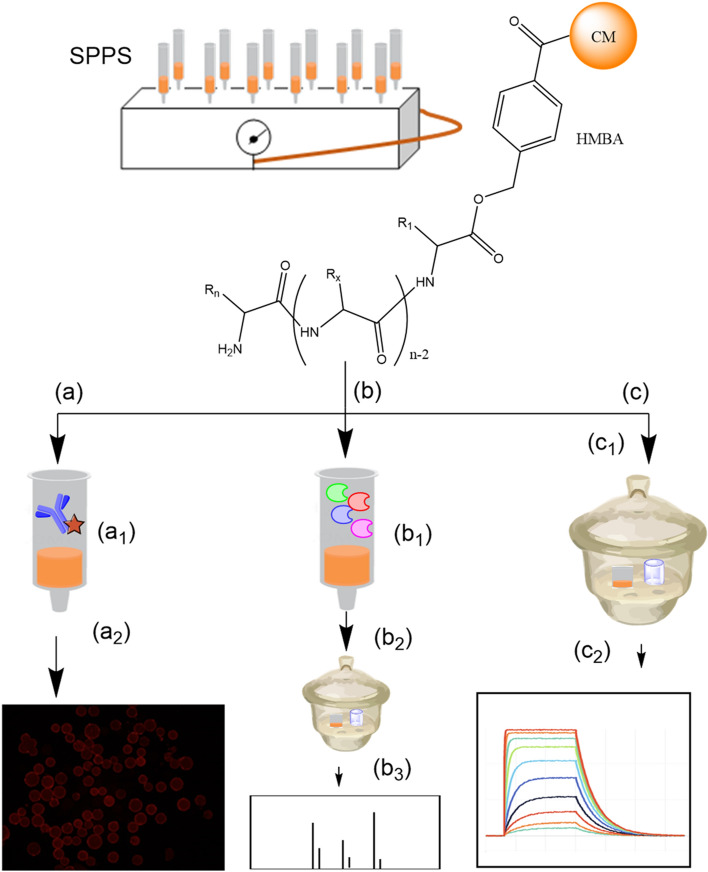 Fig. 6
