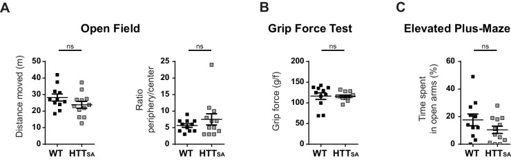 Figure 6—figure supplement 1.