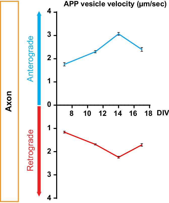 Figure 1—figure supplement 1.